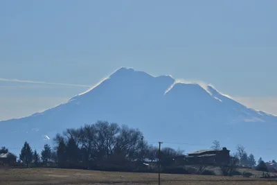 DSC_6036 (Large).JPG